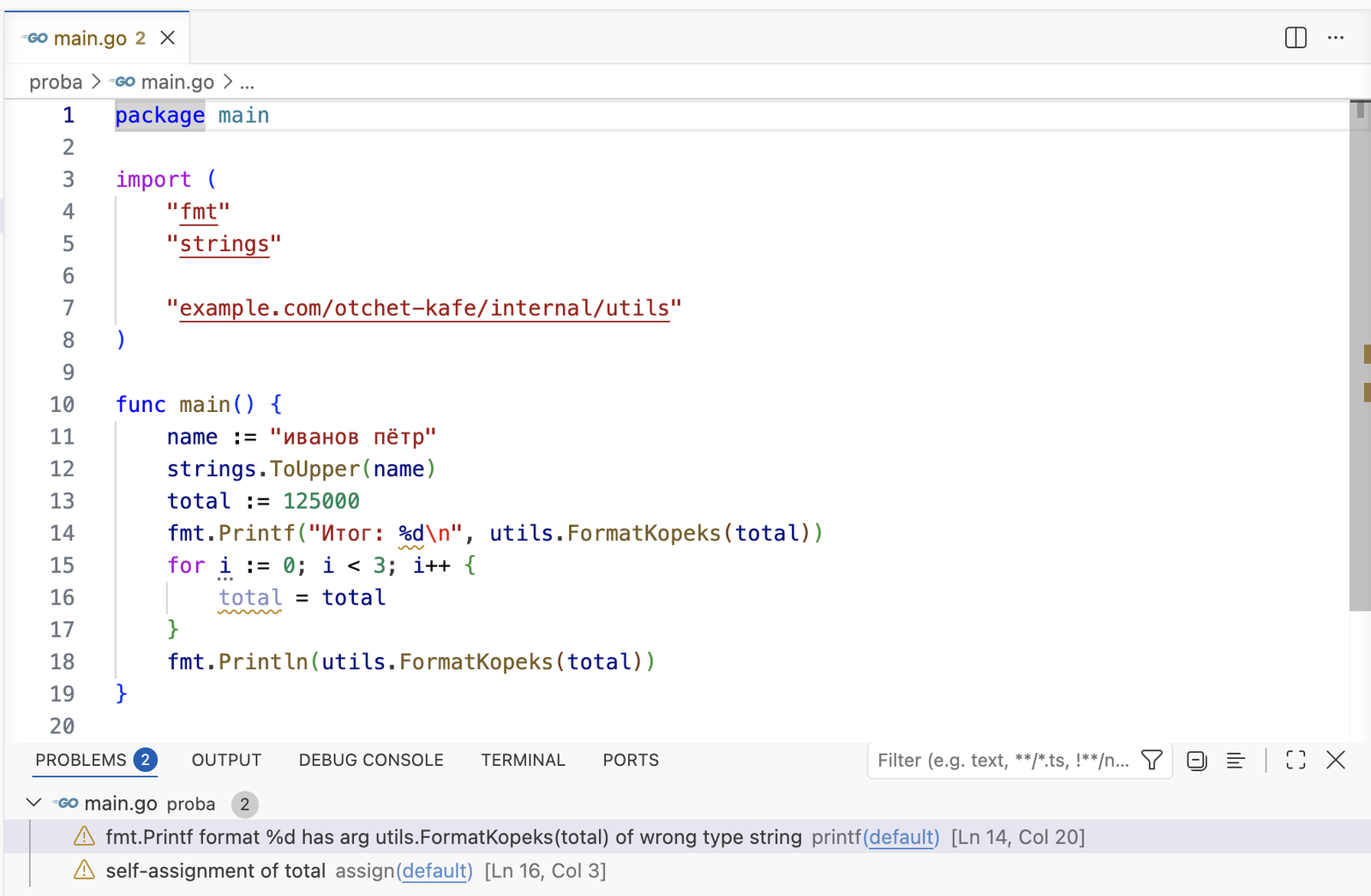VS Code: proba/main.go с жёлтыми подчёркиваниями в строках 14 и 16, в панели Problems два предупреждения printf и assign