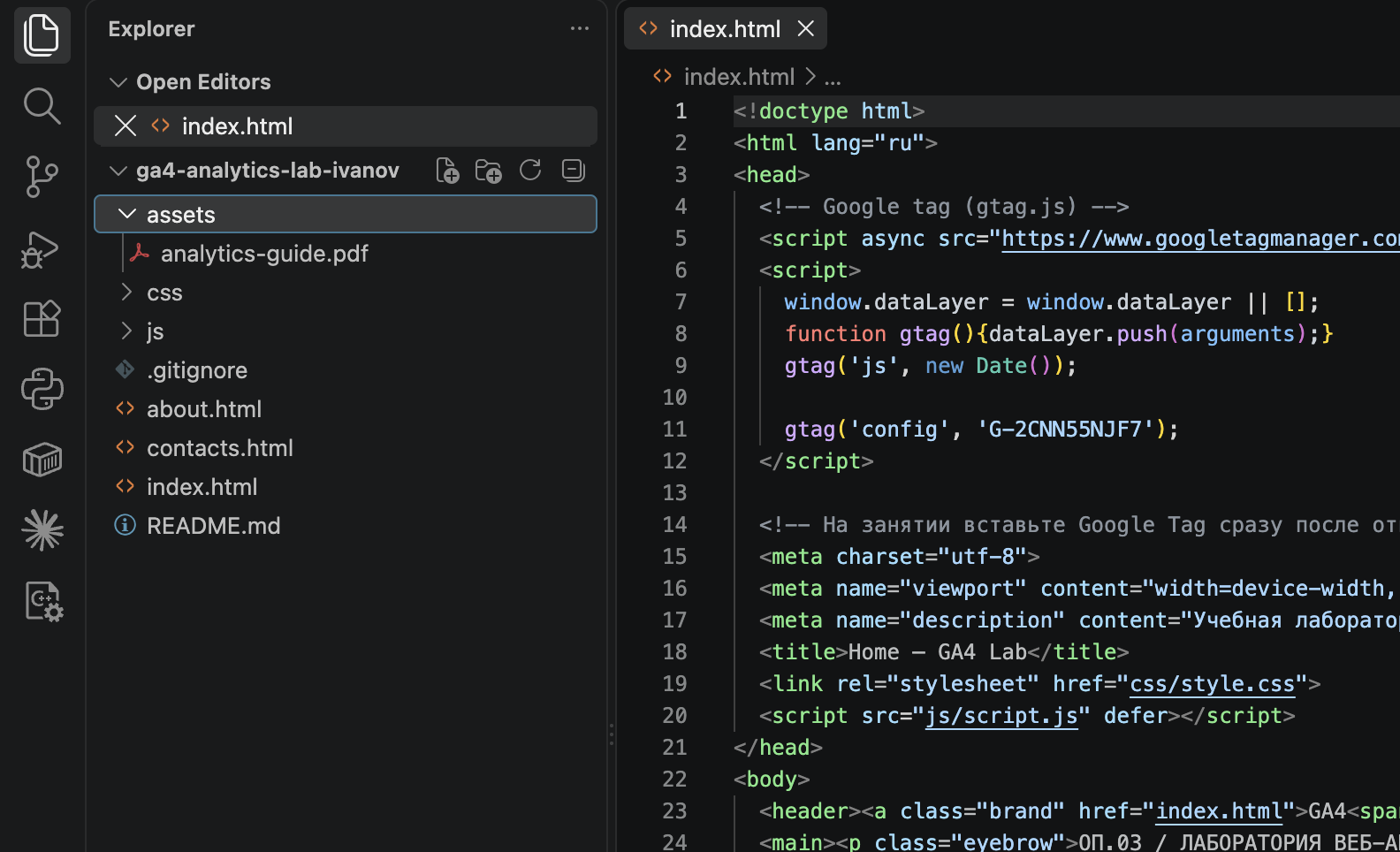 VS Code Explorer: файл assets/analytics-guide.pdf находится в проекте.