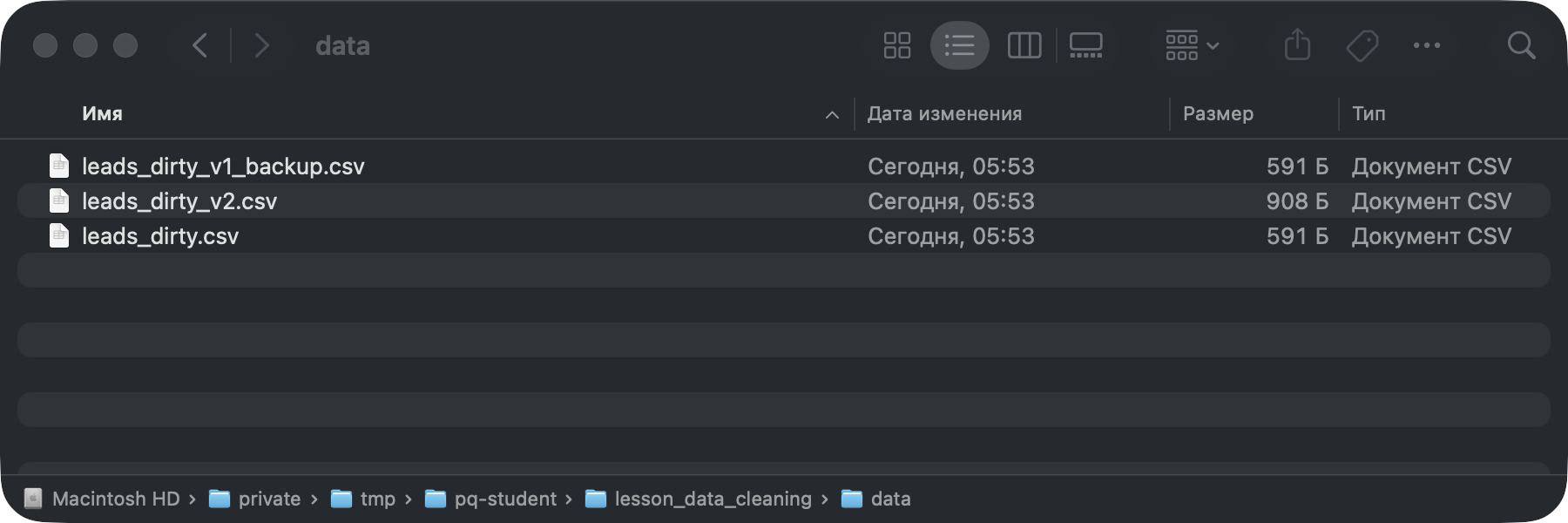 Папка data: leads_dirty.csv, резервная v1 и leads_dirty_v2.csv.