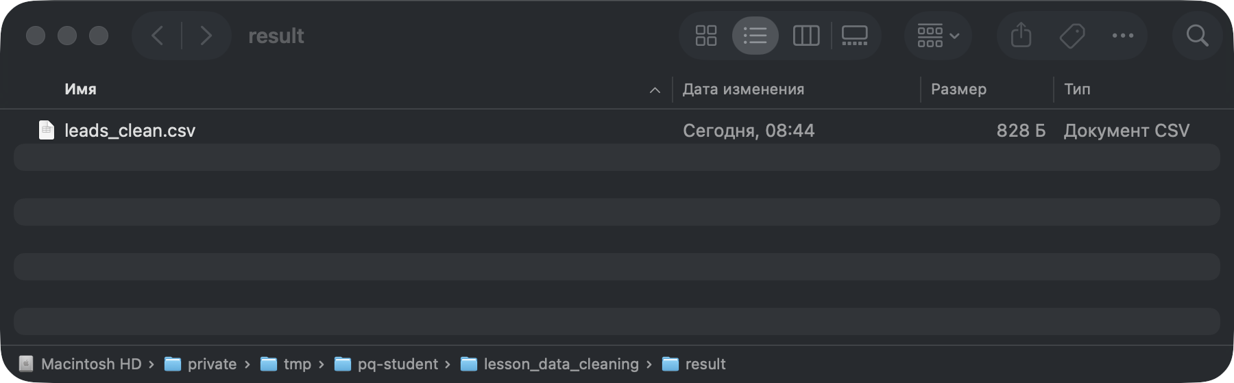Папка result с файлом leads_clean.csv.