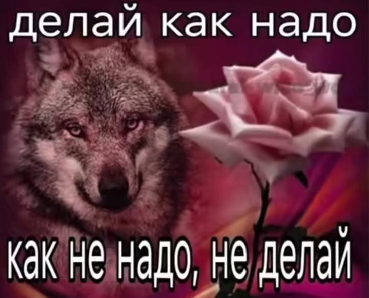 Мем про то, как надо делать
