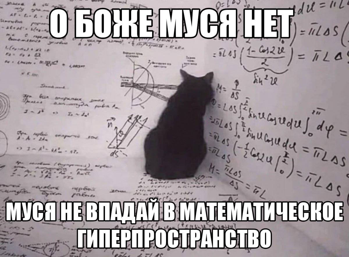 Кот на фоне формул